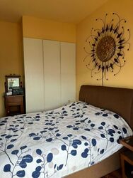 Whitley Road (D11), Terrace #529357191